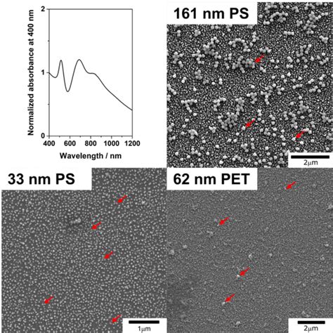 Figure 1 From Detection Of Sub Micro And Nanoplastic Particles On Gold