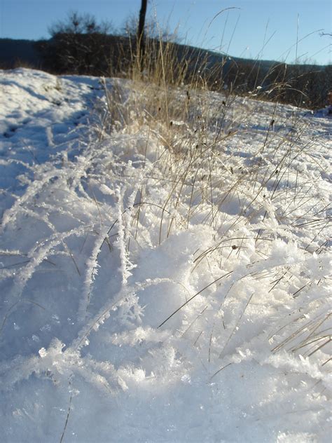 Banco De Imagens Ao Ar Livre Frio Branco Geada Gelo Clima