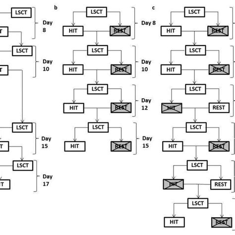 The Different High Intensity Interval Training Programmes Completed Download Scientific Diagram