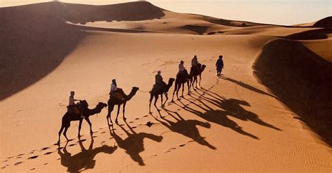 Ab Merzouga Kamelritt Mit Bernachtung Im Erg Chebbi Getyourguide