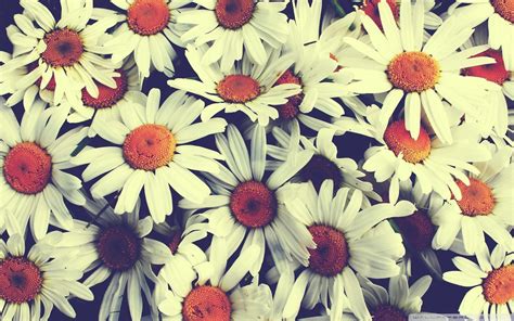 Vintage Tumblr Desktop Wallpapers Top Free Vintage Tumblr Desktop