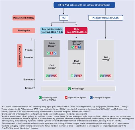 Antithrombotic Strategies In Patients With Non St Elevation Acute