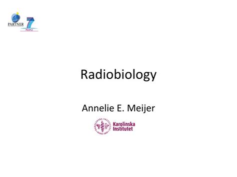 PPT - Radiobiology PowerPoint Presentation, free download - ID:2793998