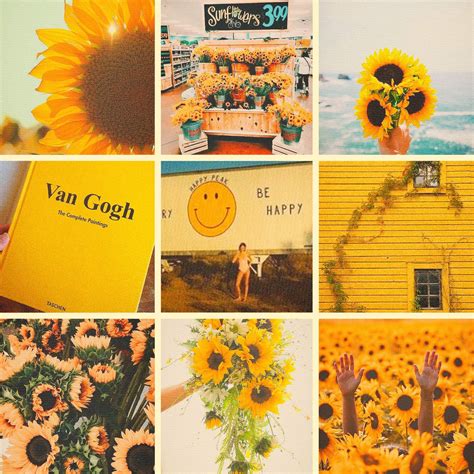 Sunflower Moodboard 🌻 Aesthetics Amino