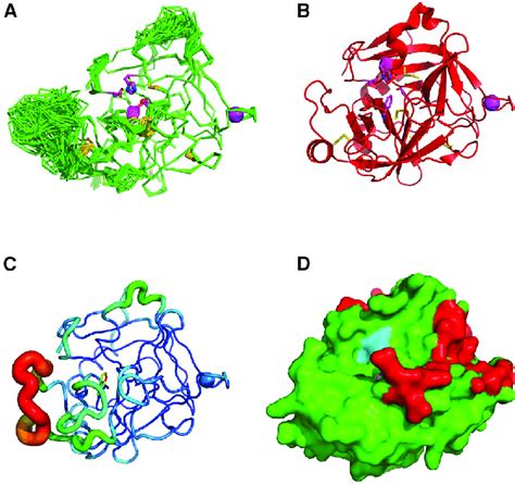 Overview Of Structures From Er Analysis Static X Ray Structure