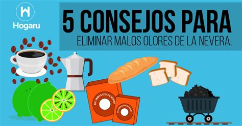 5 Consejos Para Eliminar Los Malos Olores De Tu Nevera