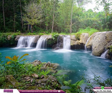 Mt Bandilaan National Park Philippines Book Now