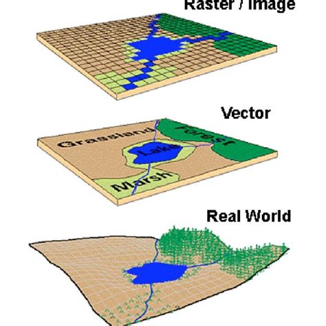 Raster And Vector Data Types As Representative Of Real World