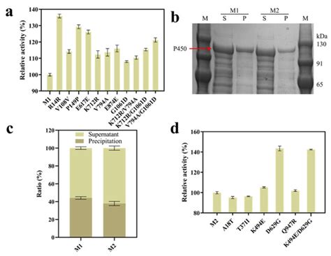 Molecules Free Full Text Improved Bioproduction Of The Nylon 12