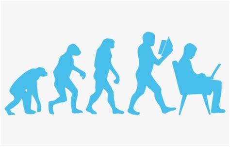 Human Evolution Vector , Free Transparent Clipart - ClipartKey