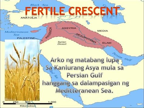 Ang Mga Sinaunang Kabihasnang Asyano Sa Fertile Crescent Sinaunang Nayon