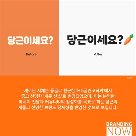 다채롭고 풍요로워진 당근마켓 리브랜딩 이제는 그냥 ‘당근 스톤브랜드컨설팅