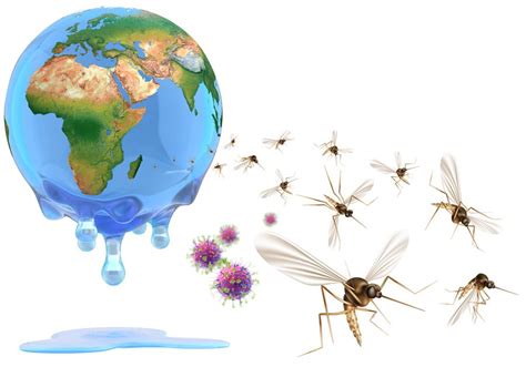 Enfermedades transmitidas por vectores y cambio climático Cuáles son