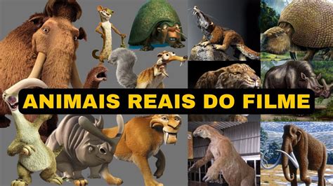 Animais Reais do Filme A Era do Gelo As Espécies Verdadeiras que