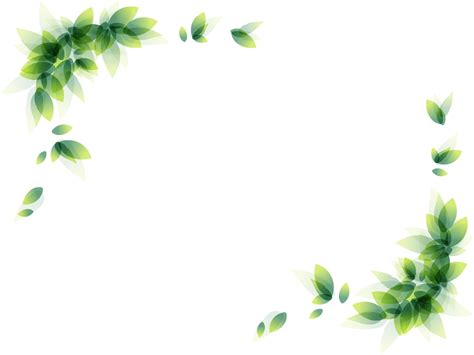 Download Green Leaf Floral Decorative Corner Border