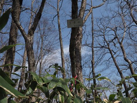 黒手山 なふさんの丸黒山・日影平山・かぶと山の活動日記 Yamap ヤマップ