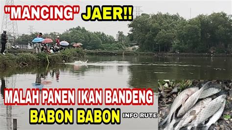 Dibuka Tiket Murah Meriah Full Mancing Seharian Jaer Nila Bandeng Youtube