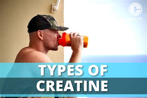 Types of Creatine: Find the Most Effective One – Torokhtiy Weightlifting