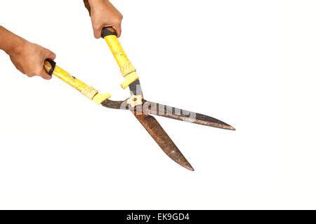 Hand Holding Scissor Isolated On A White Background Stock Photo Alamy