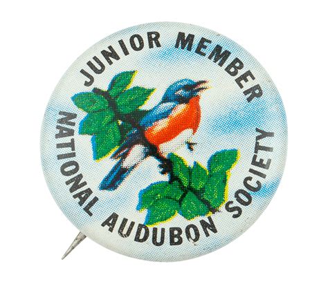 National Audubon Society Junior Member — CL0581 | Busy Beaver Button Museum