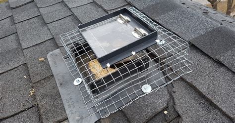 A Raccoon Was Nested In The Attic Of A House In Brilliex Pest Control