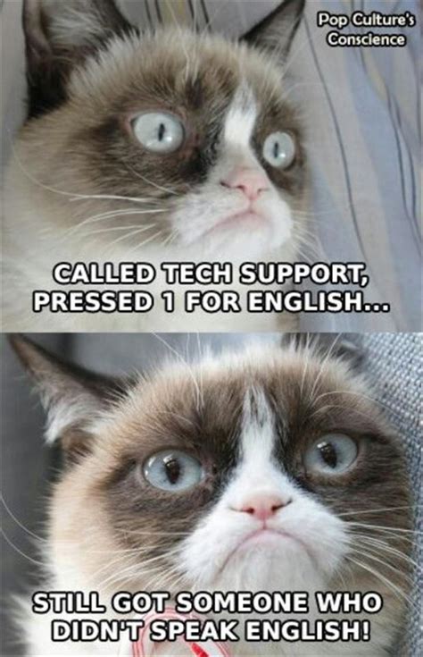 Grumpy Cat Quotes Titanic. QuotesGram