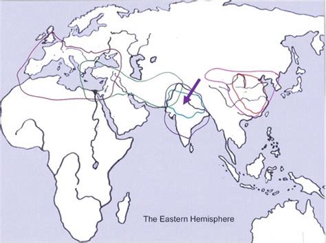 Unit Classical Empires Trade Routes Religions Map Flashcards