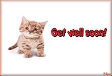 Get Well Soon Cat Images GIFs | Tenor