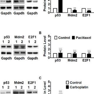 Comparison Of Effects Of Cisplatin Paclitaxel And Carboplatin On