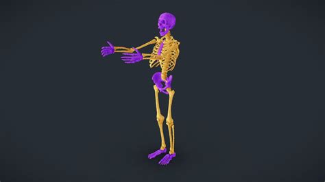 3d Model Voxel Skeleton Vr Ar Low Poly Cgtrader