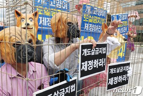 사진 개도살 금지법 제정 촉구 기자회견 머니투데이