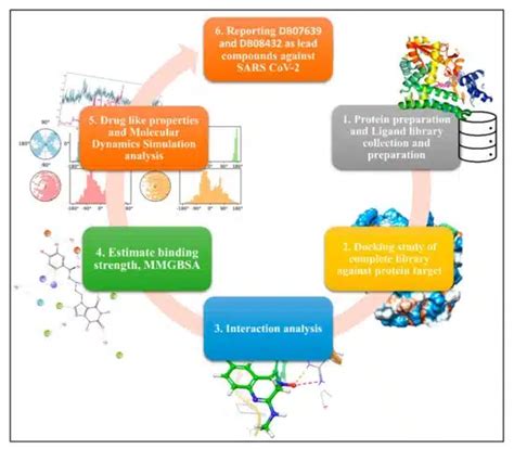 Molecular Docking And Md Simulation A Brief Introduction