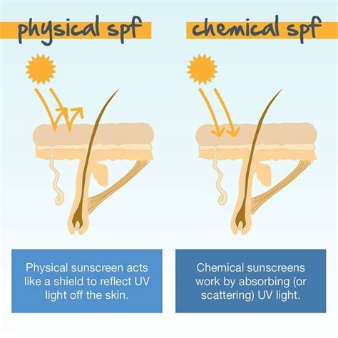 Apa Itu Sunscreen Dan Sunblock Anderson Webwalter