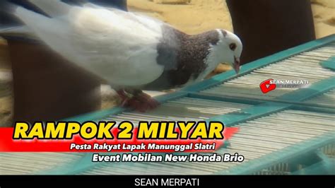 Rampok Merpati M Jadi Tontonan Di Lapak Slatri Youtube