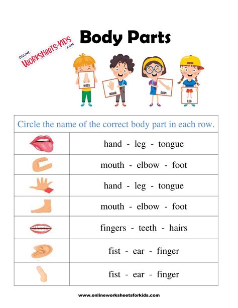 Body Parts Name With Picture For Kids