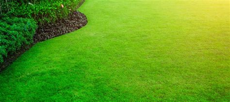 Florida Lawn Care Tips The Ultimate Guide To Lavishly Lush Grass