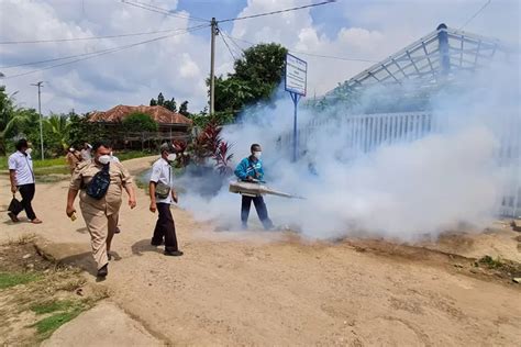 Tiga Warga Jerambah Besi Terjangkit Dbd Dinkes Pali Lakukan Fogging