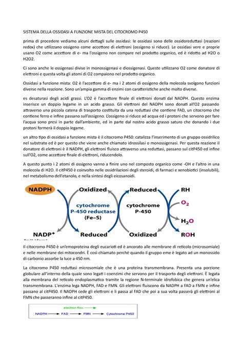 Citocromo P Appunti Sistema Della Ossidasi A Funzione Mista Del