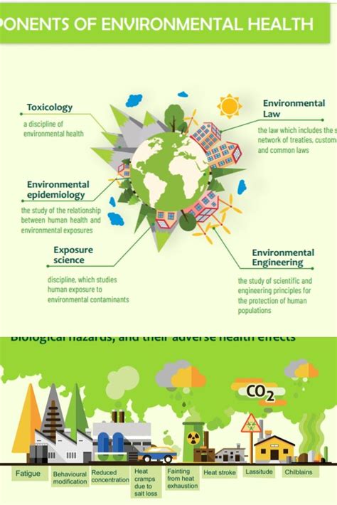 Environmental Health Infographic | Infographic health, Environmental health, Health books