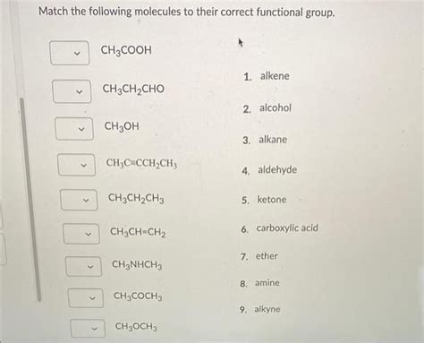 Answered Match The Following Molecules To Their Bartleby