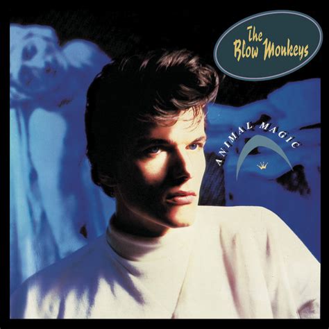 Digging Your Scene Song By The Blow Monkeys Spotify