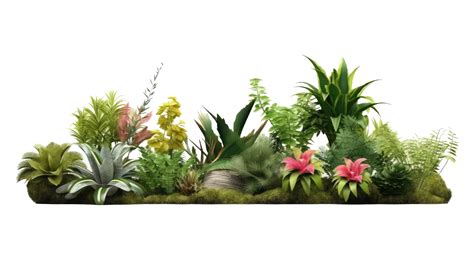 Bright spring flowers surrounded by garden plants cutout transparent ...