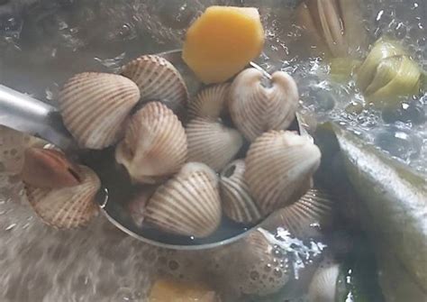 Resep Kerang Dara Rebus Oleh Gitagete Cookpad