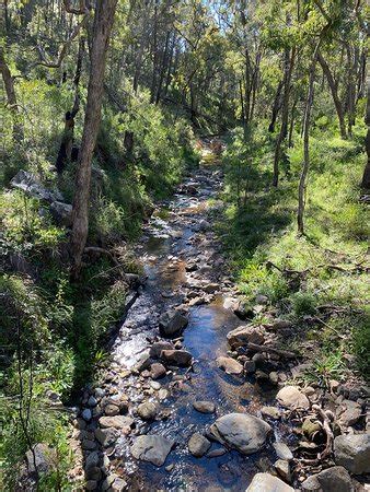 Warrumbungle National Park (Coonabarabran) - 2020 All You Need to Know ...