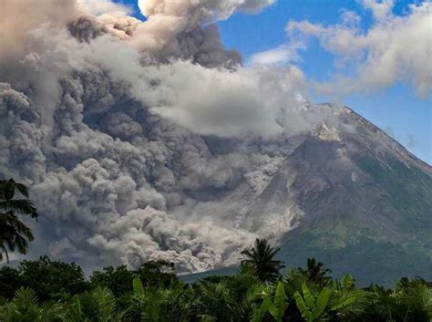 Dampak Erupsi Merapi Ke Pertanian Diantisipasi Koran Jakarta