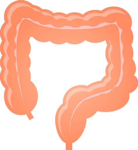 Free Cartoon Cat Vector Clip Art Large Intestine Clipart Stunning The