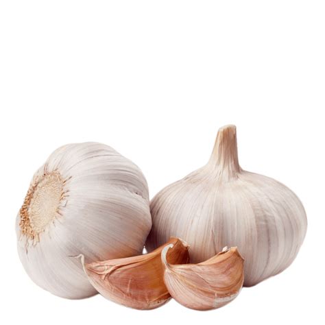 Garlic Png Transparent Image Download Size 1000x1000px