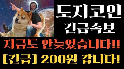 도지코인 도지투더문 지금도 안늦었습니다 200원 갑니다 강력호재 지금빨리보세요 도지코인목표가 도지코인전망