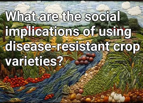 What Are The Social Implications Of Using Disease Resistant Crop Varieties Agriculturegov