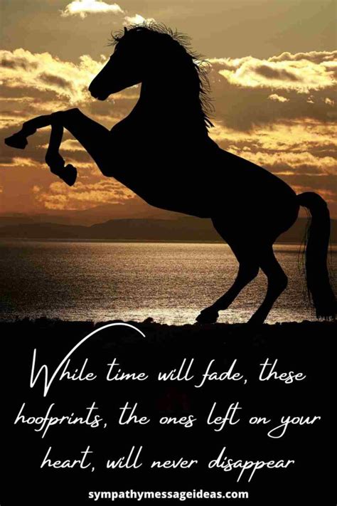 39 Moving Loss Of Horse Quotes Sympathy Message Ideas